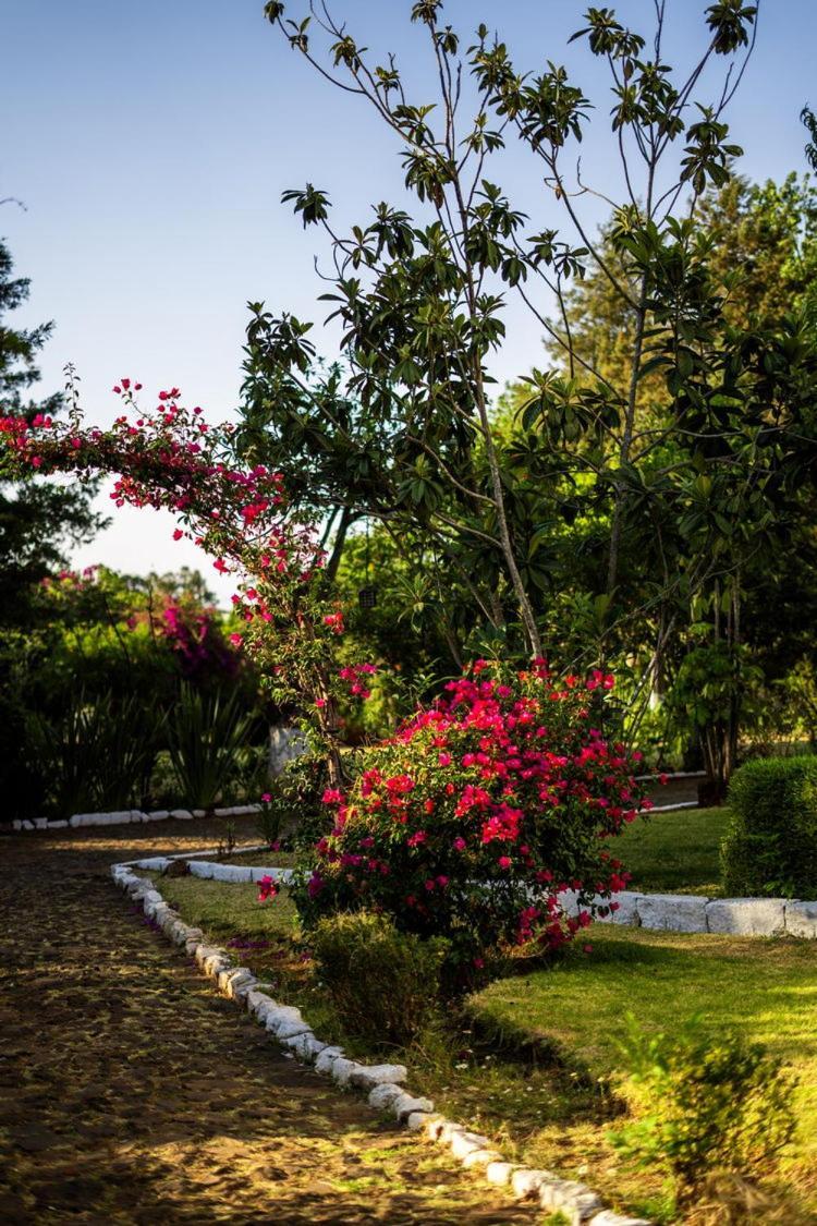 Best Western Plus Posada de Don Vasco Pátzcuaro Exterior foto Bougainvillea